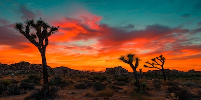 Colorful sunset in Joshua Tree National Park